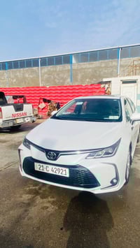 كورلا • ٢٠٢٤ • كفالة عامة