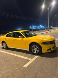 دودج تشارجر • ٢٠١٩ • رقم ذي قار