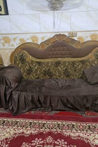 تخم مستعمل للبيع ١٣ نفر