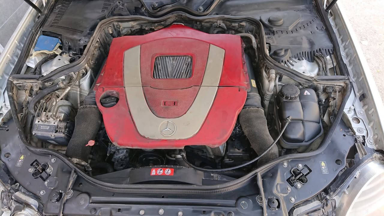 E350 2008 4matic
E350 2008 4matic
محرك ممتاز، گير جديد شديته قبل شهر اخذته ب700 دولار، راديتر جديد وكالة كامل ومروحة ودبة وجوين غراض كله اخذته وكالة،اغلب الشغلات على ايدي باتري صار شهر ac delco، تخم تاير جديد، رادار وحساسات امام خلف، حدادية جيدة دجات محرك وكير جديد نواقصهه كلش بسيطة مثلا دوشمة مو هالكد نظيفة، طكة بيهه مال بوش الطبلة، وبابين بيهن ذراع يتبدل مستعد كلهن اسويهن وميكلفني 100 الف

*الغراض كلهن من ابو عبد الله صاحب مركز مرسيدس بنز ابو كركوك وهو جابلي الگير من الامارات خاص الي، ابو عبد الله حجّة بالمرسيدس ومصدر ثقة اليحب يساله عنهه.
#مركز مرسيدس بنز كركوك Mercedes-Benz Kirkuk Center

السيارة بدون حادث بيهه مكانين رش صبغ وشبر معجون بالجاملغ الخلفي هذا الاتذكره  اليشتري يفحص سونار ويتاكد النصبة مالتهه تخبل والكشر صافي، ما اكول هي احسن شي بس هي نصبة وتلفت النظر.

السعر 145 وبيهه مجال للشرا ومستعجل باسمي وكاله مداور .
(((مكان النجف))***********
*التنظيفة سريعة بباب البيت ماتعبت بيهه. واعذرونا على الاطالة
