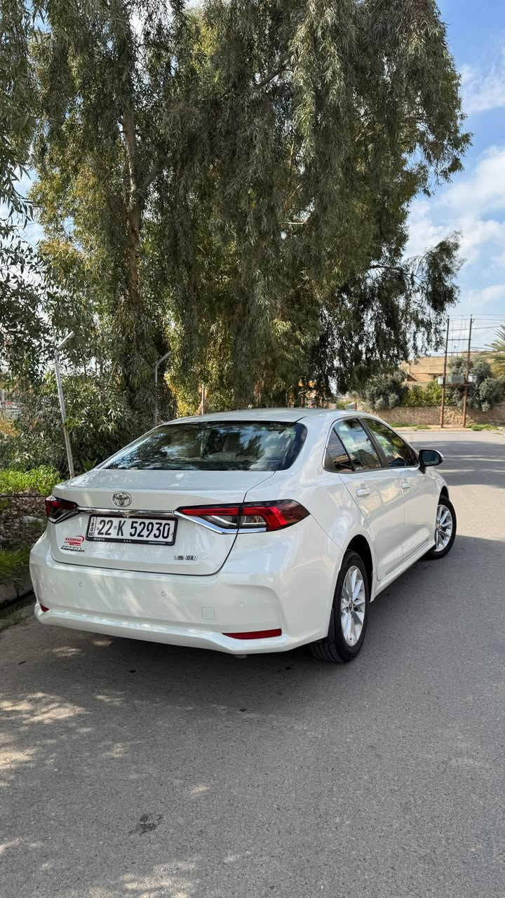 السلام عليكم 
كورلا خليجي جيهان اصلي
موديل 2020
مكينه 18 
بيها بارد بي دي ار اقل من شبر جاملغ كدام بل اسفل
ماشيه 97
مكينه وكير ابشرط سنويه وهزه فحص جديد
مواصفات بصمه شاشه جبيره كيجات اكتروني
السعر 165 بيها مجال بسيط
الرقم الهاتف 
***********
***********
