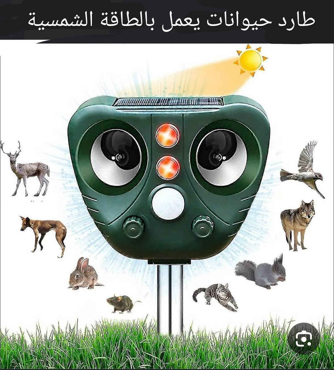 كل القطع شرط الفحص


**إذا كنت صاحب هذا الإعلان وتريد حذفه لأي سبب، رجاءا أرسل رسالة إلى الدعم الفني**