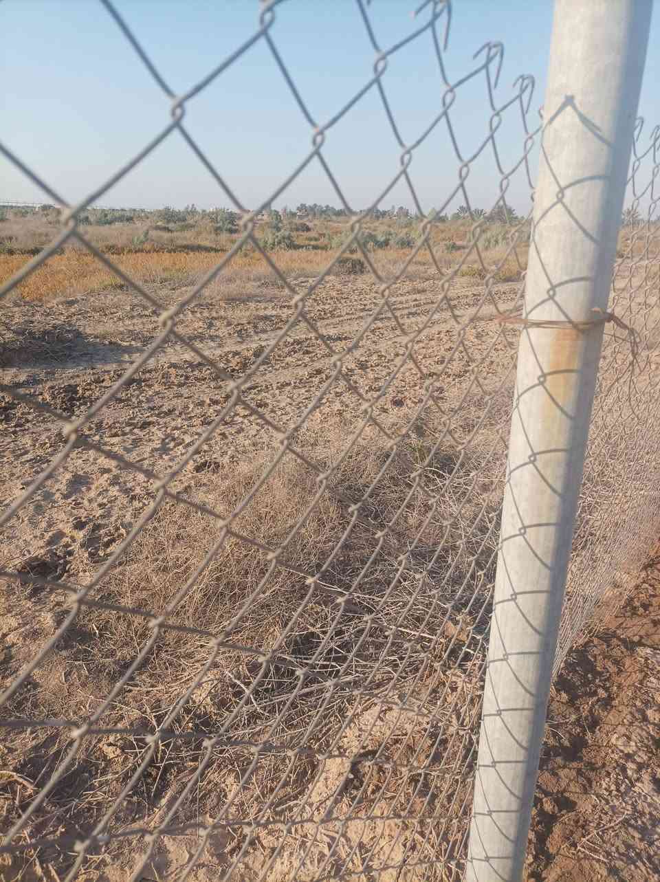 للبيع... بي أرسي وبوري مغلون..  تفاصيل اكثر داخل لفيديو .. بي أرسي نوعيه ثقيله لأصلي عرض الفتحه اربعه والحديد تلااثه ملم طول عشرين متر وأرتفاع متر ونص وبواري مغلونه طوله مترين جهاز هوه والصبه بس تحفرله وتثبته ١٤ لفه بي أرسي وخمسه وثمانين بوري وبيهن زياده زايه حديد بيعه وحده سعر لفه ٧٥ الف والبوري٨ ألفه وبيهن مجال الشراي بي خير ويدلل كلهن بيعه وحده مامتواجد على نت لأتصال على الرقم *********** المكان رفاعي طريق الشركات
