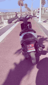 ماكس • معدل بوشة ٤٩ • بلتحرير