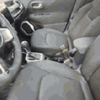 رنكد • ٢٠١٨ • رقم اربيل