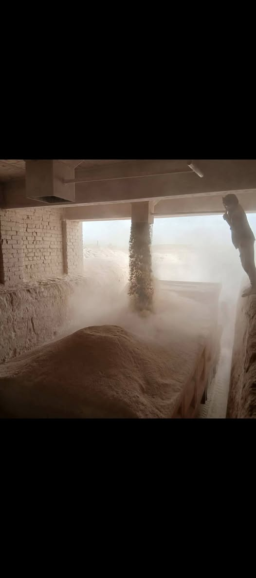 #سلام عليكم يوجد لدينا جص جزيره فلوجه ولكرمه  من #معمل اسعار مناسبه يوصلك جاهز مع عمال ولكواني #تفحص يله تنزل / ‏‪***********‬‏ / ‏‪***********‬‏
