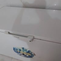 مجمدة • حجم كبير • نضيفه