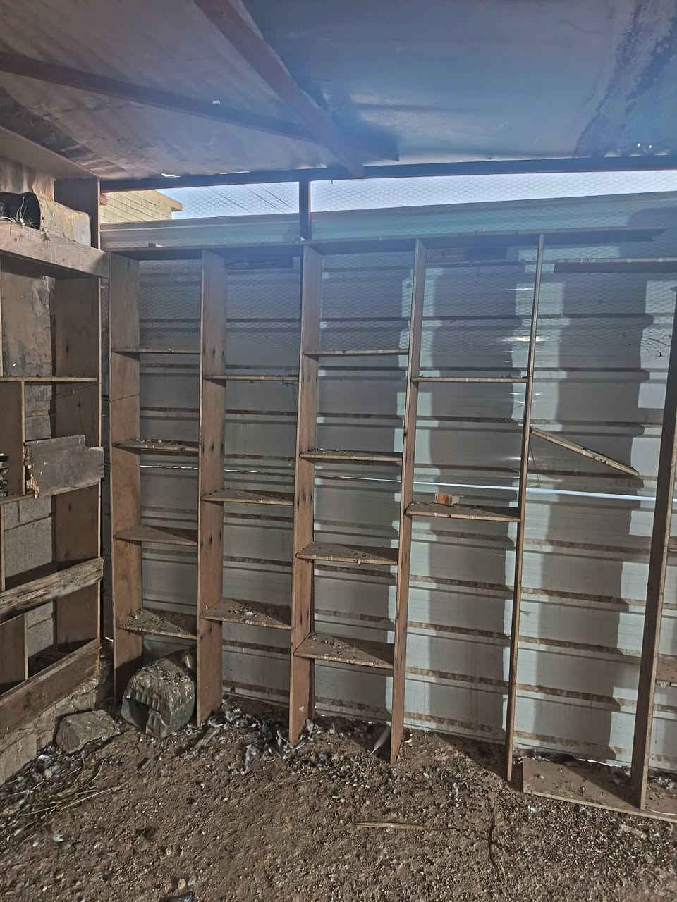 سلام عليكم خانات يرهمن مال طيور مال محلات كلشي يرهمن بس. عايزهن تنضيف خشم كله قوي وثكيل شلعتهن 75


**إذا كنت صاحب هذا الإعلان وتريد حذفه لأي سبب، رجاءا أرسل رسالة إلى الدعم الفني**