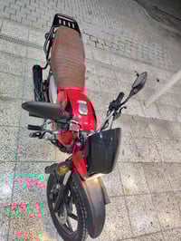 بوكسر جبلي للبيع تحويل بغداد الشعب حي سومر الاستفسار أكثر 07766478243