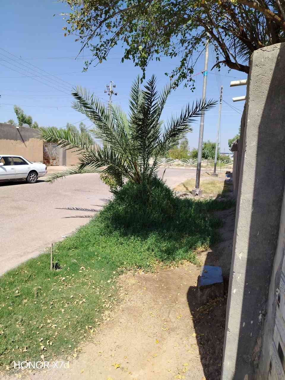 بيت للبيع
الشركه الغربيه مساحه ٣٠٠ م بناء مسلح ديوانيه غرفتين مطبخ هول حمام

حديقه كدام تصلح مشتمل وكراج سياره ومحل تكدرون تعدلونه وتفتحوه وترك وره بي ٥٠ م 

ع الكورنيش

ب٢٥٠ وبي مجال فقط الشراي يتصل

***********
