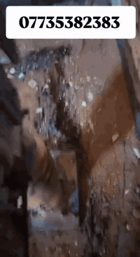 (يدلل الحبيب على الجبوري) السلام عليكم 
يوجد حادلة قفاز(كنغر) حديثة للايجار مع الكادر 
للتواصل الاتصال على الرقم
***********
والعمل درجة اولى
(عملي في بيت الأخ  عليالجبوري) المسيب حي جايد
