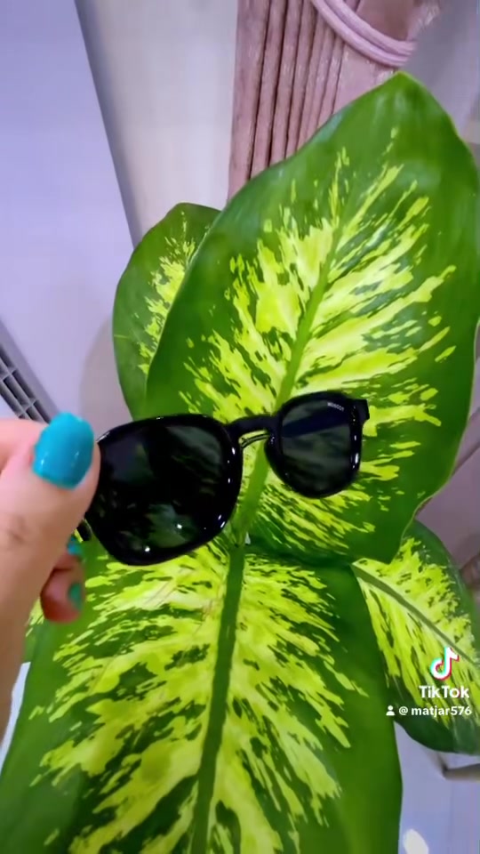 موسكوت ملكة الاناقة والجمال رجالي نسائي فلتر حمايه حقيقي سعر القطعه 20الف مع الملحقات الأصلية


**إذا كنت صاحب هذا الإعلان وتريد حذفه لأي سبب، رجاءا أرسل رسالة إلى الدعم الفني**