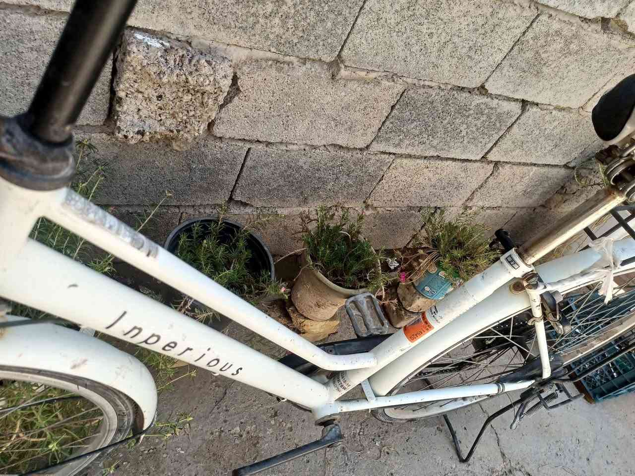 للبيع بايسكل نظيف سال 80


**إذا كنت صاحب هذا الإعلان وتريد حذفه لأي سبب، رجاءا أرسل رسالة إلى الدعم الفني**