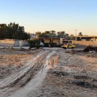 قرية الشوهانيه • بيتين • بستان نخل رمان