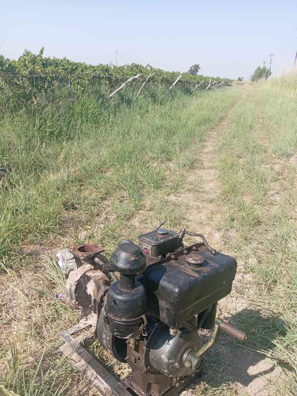 كلستر عاطل بيه فطر بلفلاوين ابيع عاطل صلاح الدين قضاء الدجيل لاستفسار رقم الهاتف ***********
