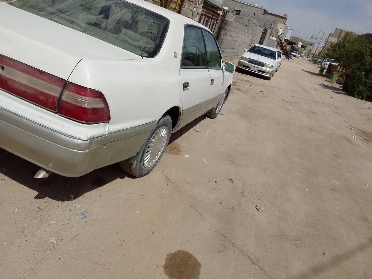 سلام وعليكم راس ثور نقل جثه كص مكينه وكير كارتون  شراي  يتصل مكان بصره  45.      ***********
