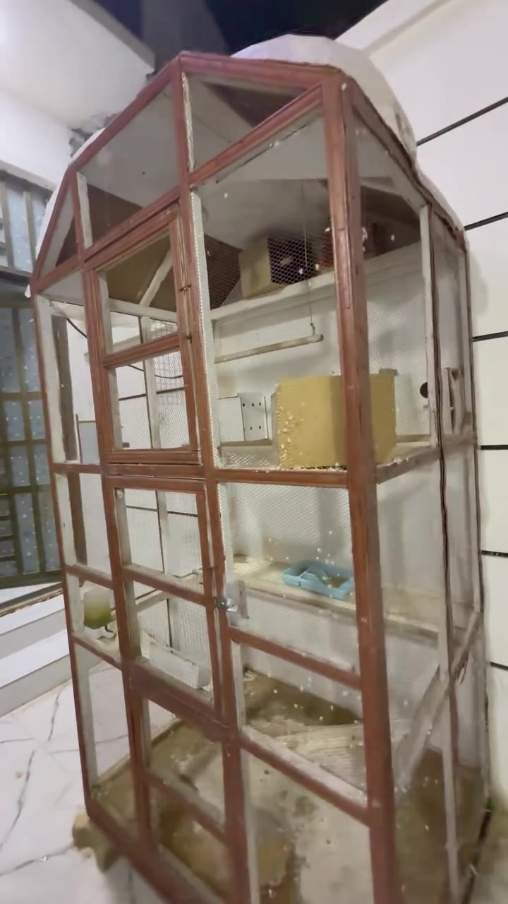 قفص 
الارتفاع ٢٢٠ 
العرض ١٣٠ 
نزال متر 
نظيف وبي بيوت مال عصافير وكوكتيل وجاهز اناره ومأكليات ومشربيات … مكانه الرمادي


**إذا كنت صاحب هذا الإعلان وتريد حذفه لأي سبب، رجاءا أرسل رسالة إلى الدعم الفني**