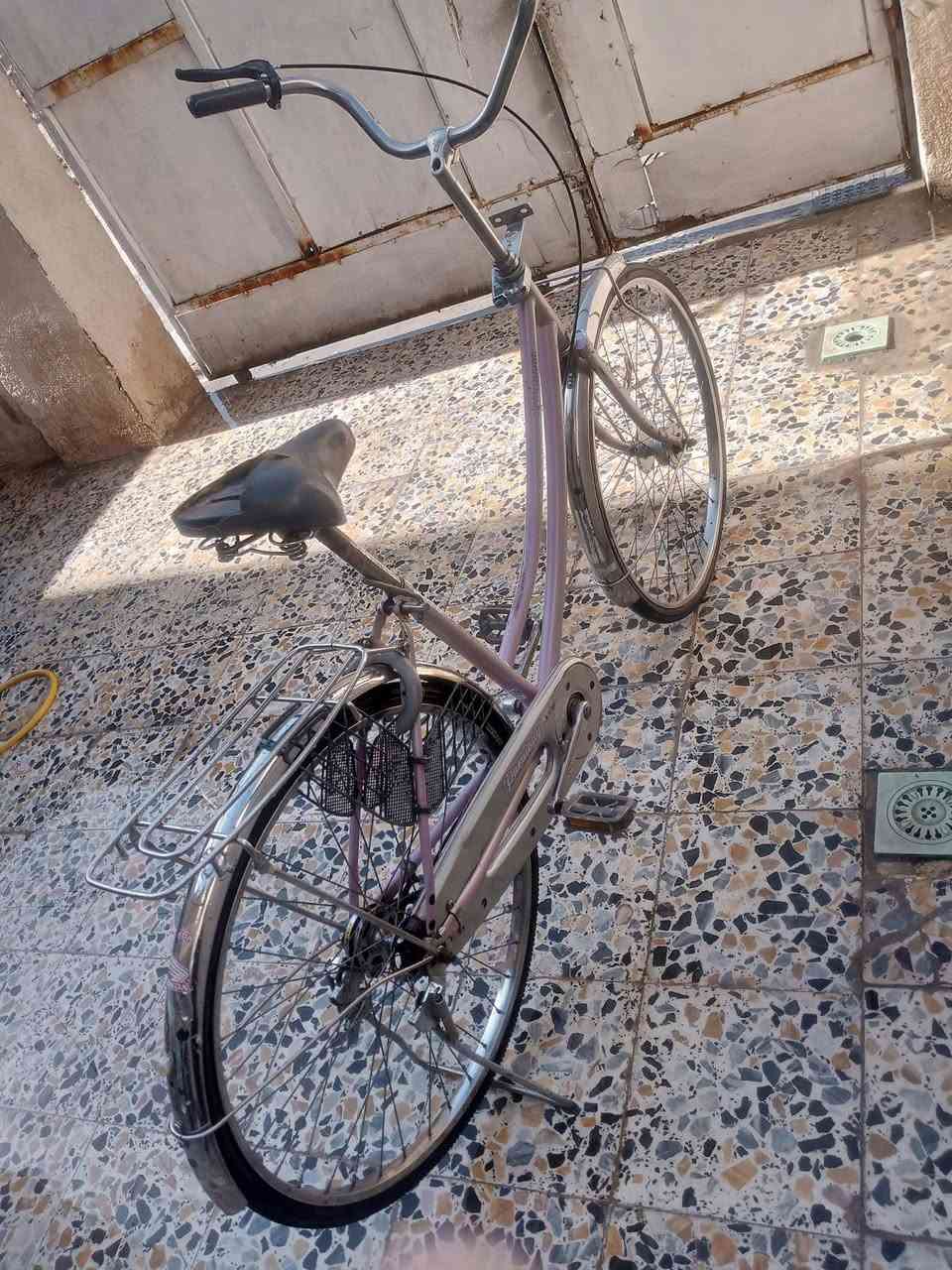 السلام عليكم بايسكل اللبيع حجم 26 السعر 75 وبيه مجال الاستفسار خاص


**إذا كنت صاحب هذا الإعلان وتريد حذفه لأي سبب، رجاءا أرسل رسالة إلى الدعم الفني**