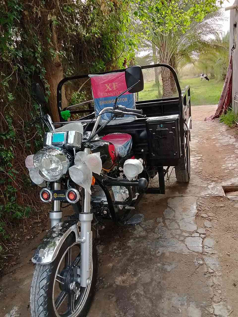 ستوته للبيع موديل 23اوراق اصولي طالعه من المعرض صارله سبوع مكاني كربلاء الحسينيه هذه رقمي ***********
