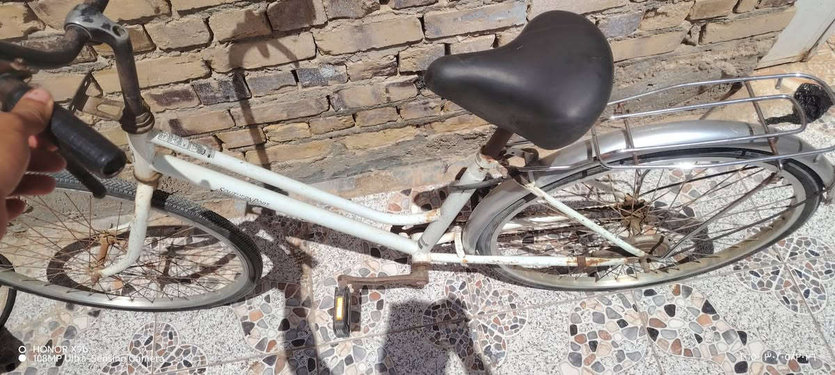 بايسكل حجم 26 سعر 30


**إذا كنت صاحب هذا الإعلان وتريد حذفه لأي سبب، رجاءا أرسل رسالة إلى الدعم الفني**