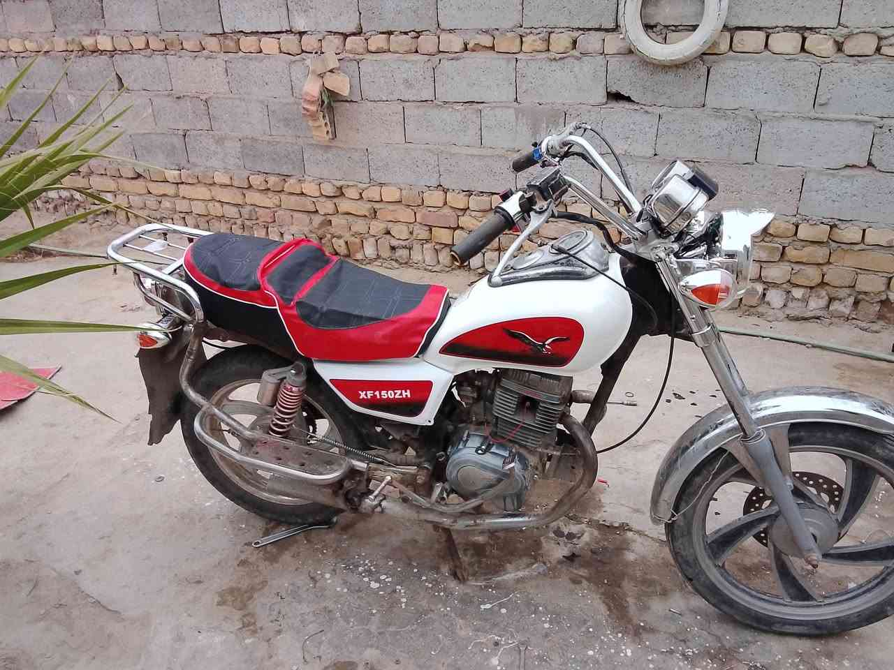 جونده للبيع مو ديل 11رقم وسنويه عضم ***********مكاني الدوانيه
