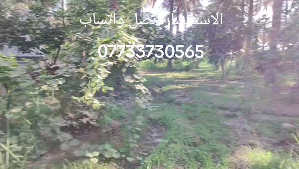 بستان دونم وربع للبيع في كربلاء منطقه الحسينيه شارع الشاهر  البستان مباشر على التبليط  يحتوي على دار  مساحه 200  متر  مع ثلاثه غرف نوم  صاله استقبال ومطبخ مع صحيات مع حديقه خارجيه    يبعد عن الامام ع    15 كيلو   تفاصيل اكثر  *********** *********** ***********  يوجد واتساب
