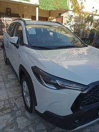 كشنات جلد • ٢٠٢٥ • مشتل