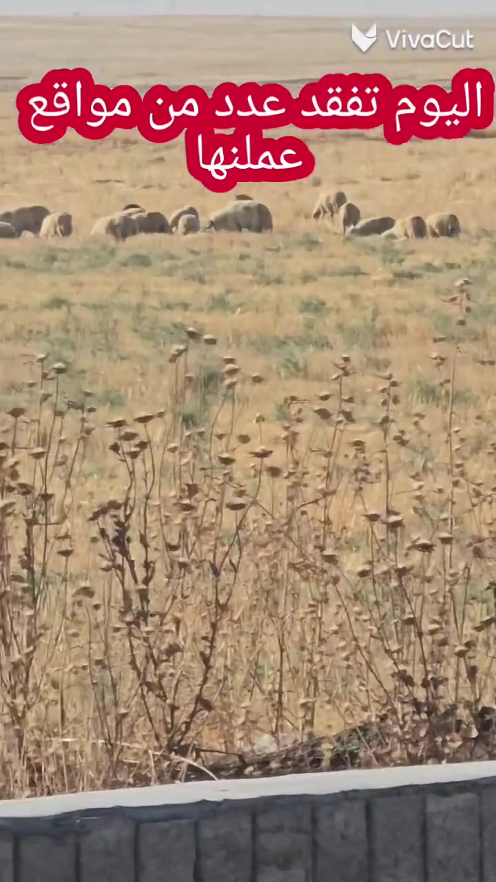اليوم السبت 11/7/2026
بعض من مواقع عملنا
علمن ان شركتنا تعمل بنضام القسط المريح وبدون تحميل
***********
