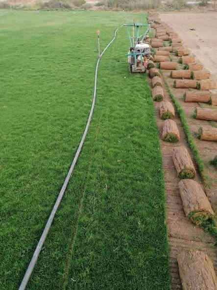 ثيل هندي درجه اوله توصيل كافت محافظات مع كادر عمل فرش وتاسيس مرشات ***********,,***********
