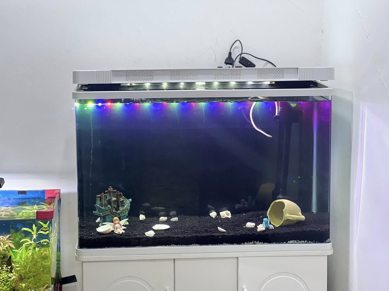 حوض اسماك البيع بس الحوض بدون ميز السعر ١٠٠الف الي يريد يتفضل خاص أو يخابرني عل رقم ***********
