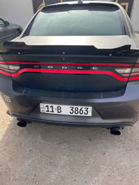 ٢٠١٩ • ٦ سلندر • وارد كندي