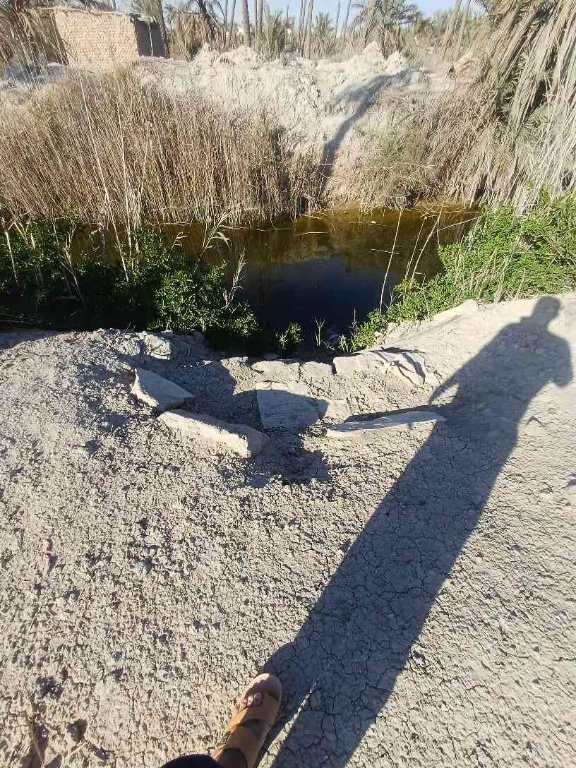 800متر. طابو عراقي سهم تحويل شارع تبليط ٩متر وقريب للطريق السياحي ابوالخصيب حمدان منطقة كلش حلوه *********** ابو الخصيب, البصرة
