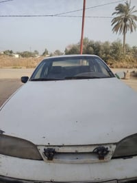 برنس • موديل ٩٣ • ديالى الخالص