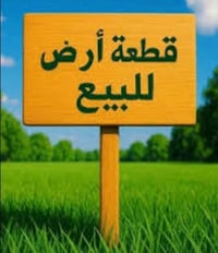 بابل المدحتية • ٣٠ دونم • ماء وكهرباء