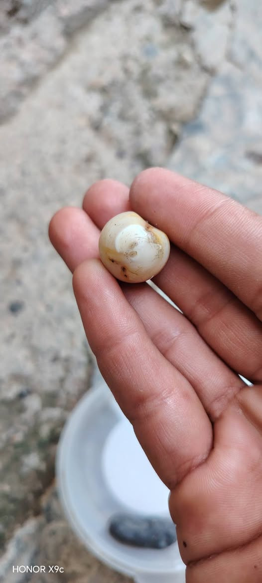 اخوان سلام عليكم مجموعة خرز سلطاني  مااعرف نوعيه قيم واخذ بلي يرضي الله يرهم مراوس توصيل موجود ونشكر مسؤول الكروب على الموافقة


**إذا كنت صاحب هذا الإعلان وتريد حذفه لأي سبب، رجاءا أرسل رسالة إلى الدعم الفني**
