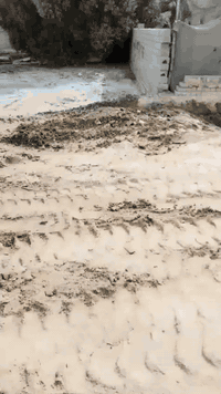 السلام عليكم
اخوان بتلو بالسبل الأولى
قريب ع مكتب الفرطوسي
ركن ع شارعين
مساحته ٢٥٠ عرض ١٠ونص ونزال ٢٤ 
مدفون وجاهز للبناء
السعر ٢٠ وبيه مجال
للاستفسار الاتصال على الرقم *********** او المراسله عالواتساب
