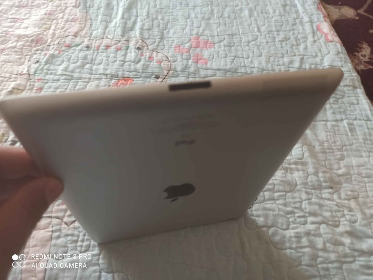 ايبات 3 ابل للبيع بس واير يرادله مال شحن مامفتوح ولا مصلح قيم سعره تعال أخذه مكاني تنومه شارع الاطفائ *********** البصرة, العراق
