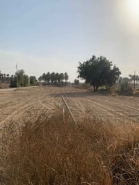 الصقلاوية الطالعة • ٢ دونم • طابو سند ٢٥