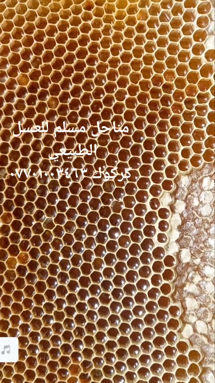 عسل طبيعي 
كركوك ***********
 #عسل_طبيعي #تربية_النحل #غذاء_ملكي #خلايا_نحل
