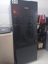 رحمانيه شعله • نوبل • تجميد فول