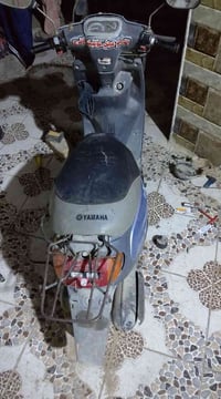 باب الحسين • تشتغل وتطفى • منغولي ام السلة