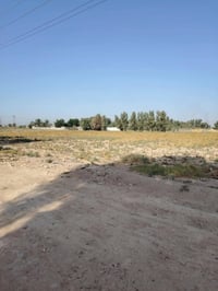 سيد رعد • مقابل صيطره نهروان • دونمين