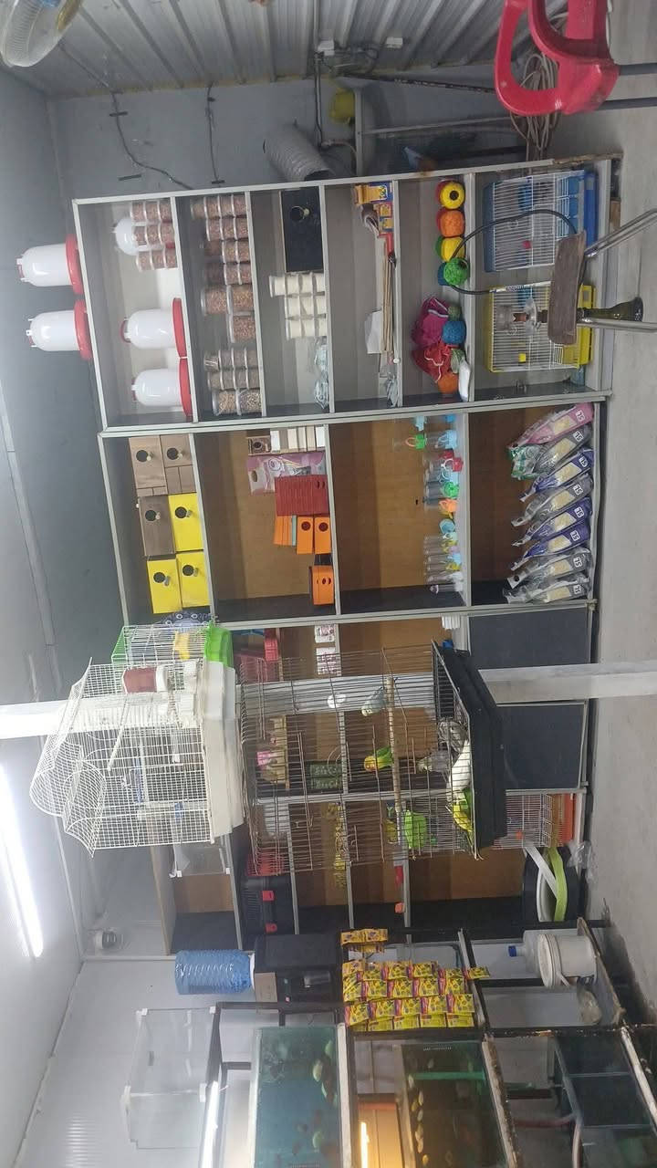 محل للبيع كامل مكمل انطيك مفتاح  كلشي بي حته منضومه كامرات ونت 
يصير ملك الك بالكامل فقط تدفع اجار مال ارض 350
عنوانه حي جهاد شارع العام  مقابل شقق حي سلام  مجاور مشتل عابد فلور
***********
