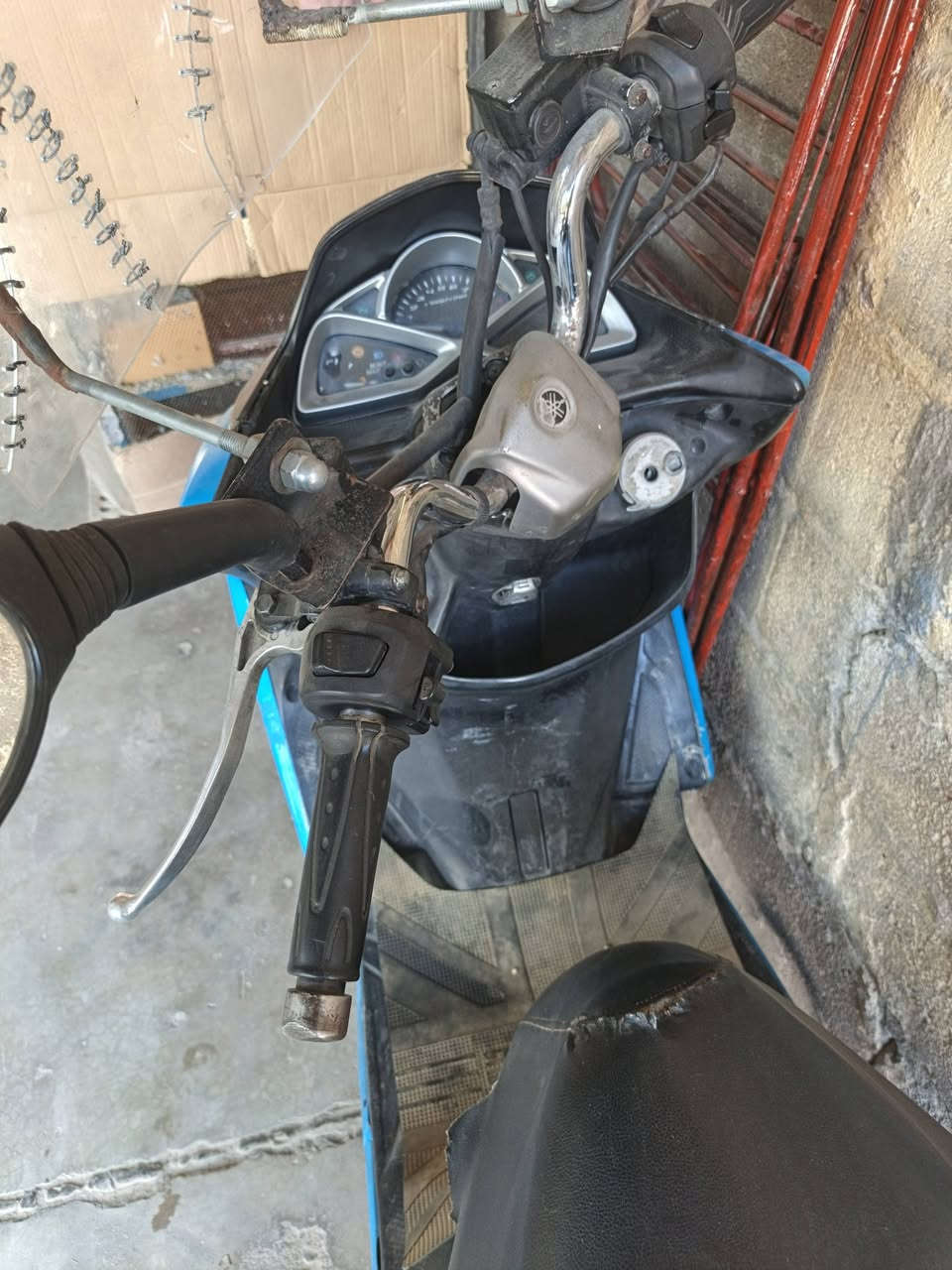 ماجستا اس شغاله بيها صوت خفيف تفيلس او زنجيل ما اعرف السعر 500 الف
***********
