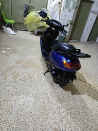 سبيسي ياباني • مكفولة • ميسان