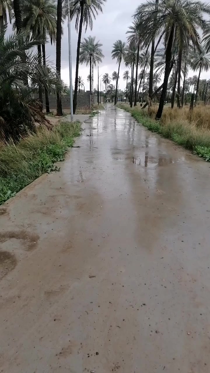 ألسلام عليكم متاح قطعه أرض بالتوزيع مال حجي حميد قرب نقطه الشرطه تحتوي علئ غرفه ومطبخ وصحيات كامله بالاضافه الئ غرفه تصلح لتربيه الدجاج او الطيور وتحتوي علئ بير وكهربائيات كامله اناره كامله وحديقه مرتبه مزروحه حمضيات وتين السعر 31
***********
