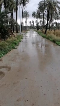 التوزيع مال حجي حميد • بئر • غرفة تربيه دجاج