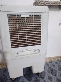 مبرده • نضيفه • شغاله