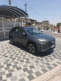 توسان ٢٠٢٣ • فول • وارد امريكي