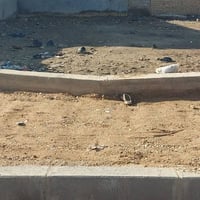 قطعة طابو زراعي • قريب الإمام العباس • ١٥٠م